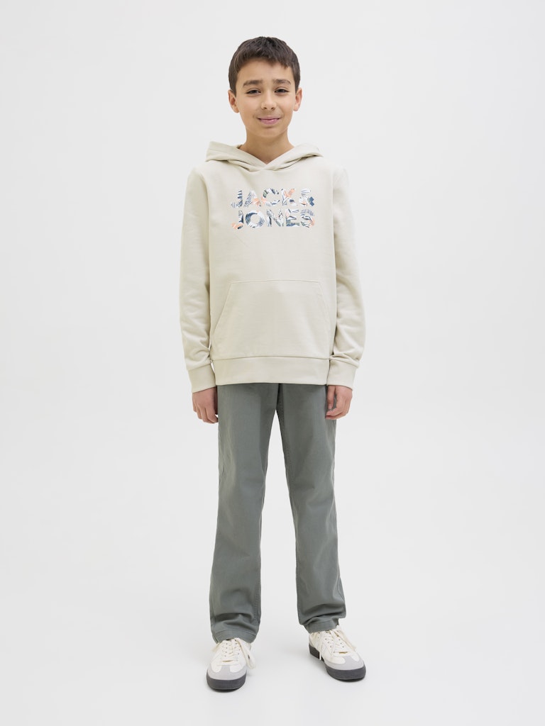 Jack & Jones Jungen Sweats & Sweatjacken Moonbeam