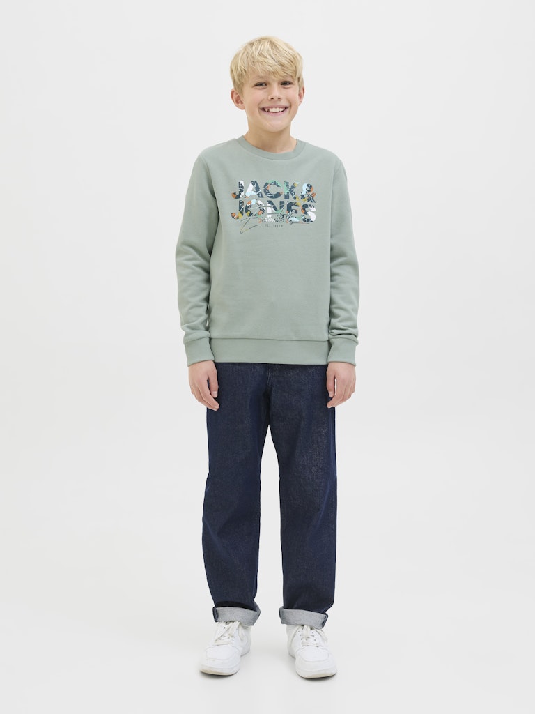 Jack & Jones Jungen Sweats & Sweatjacken Iceberg Green
