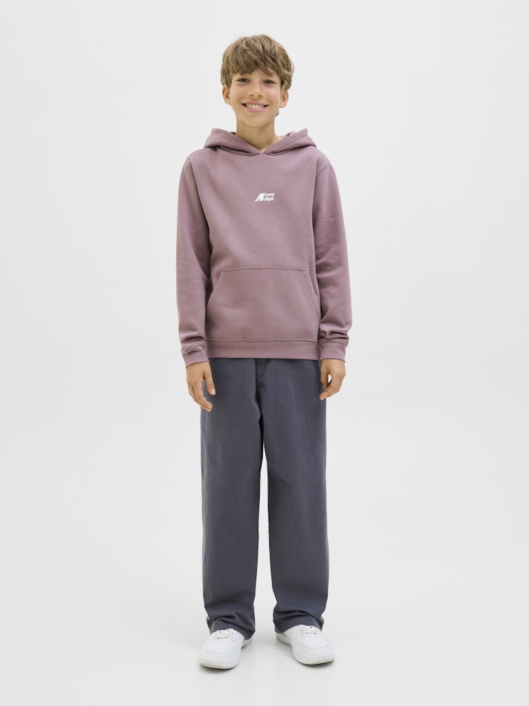 Jack & Jones Jungen Sweats & Sweatjacken Grape Shake