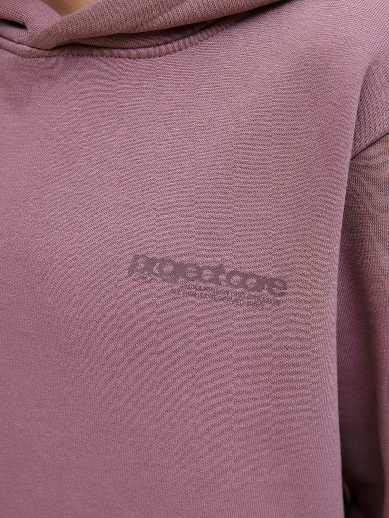 Jack & Jones Jungen Sweats & Sweatjacken Grape Shake