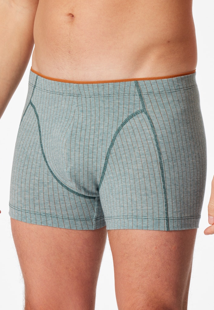 Schiesser Pant Grün
