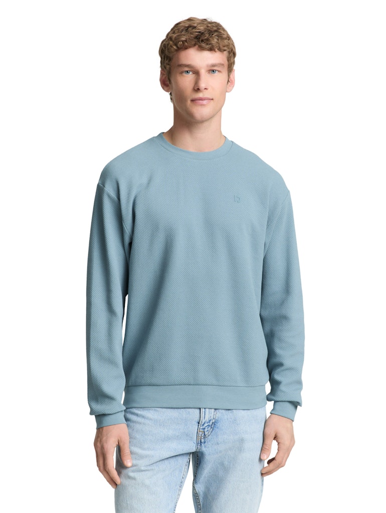 Tom Tailor denim Herren Sweatshirts Citadel Blue