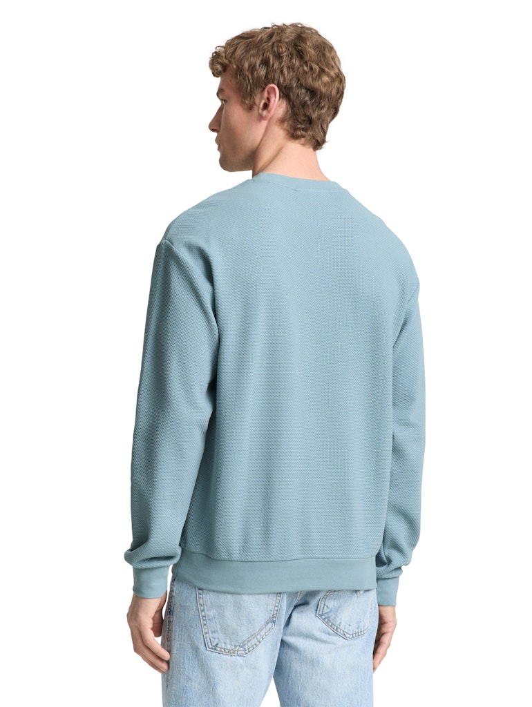 Tom Tailor denim Herren Sweatshirts Citadel Blue