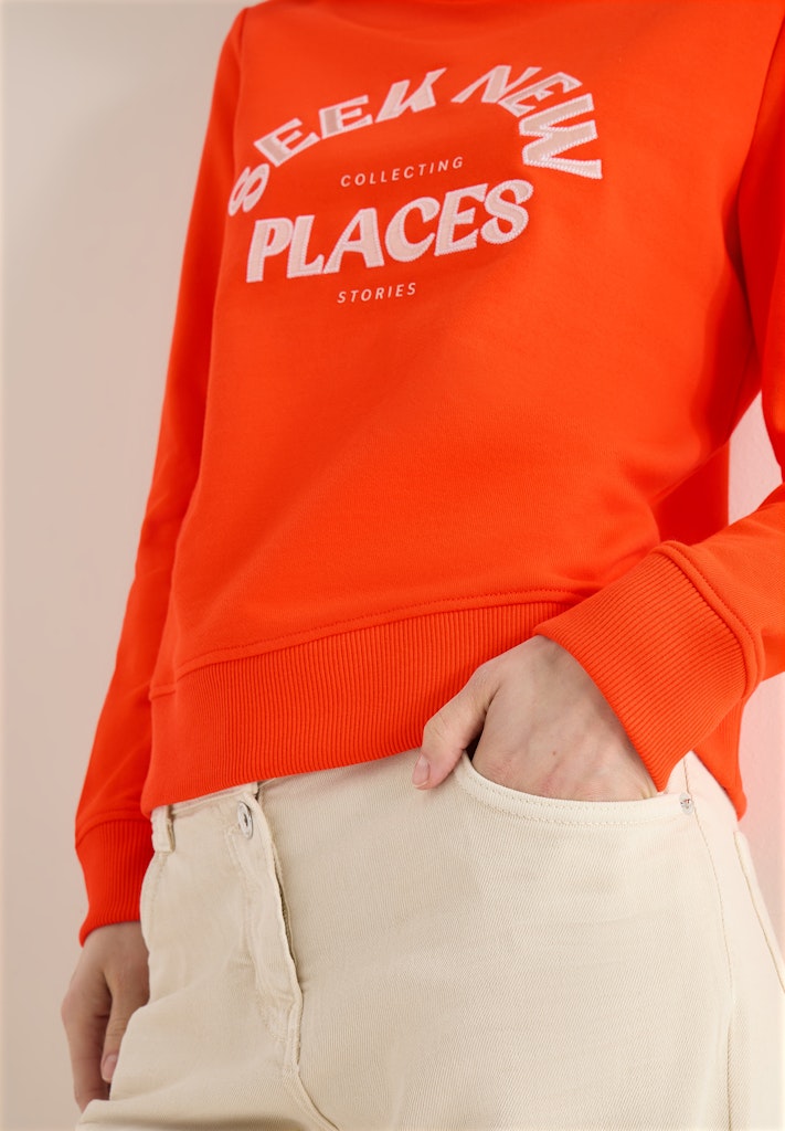 Cecil Damen Pullover  Cherry To