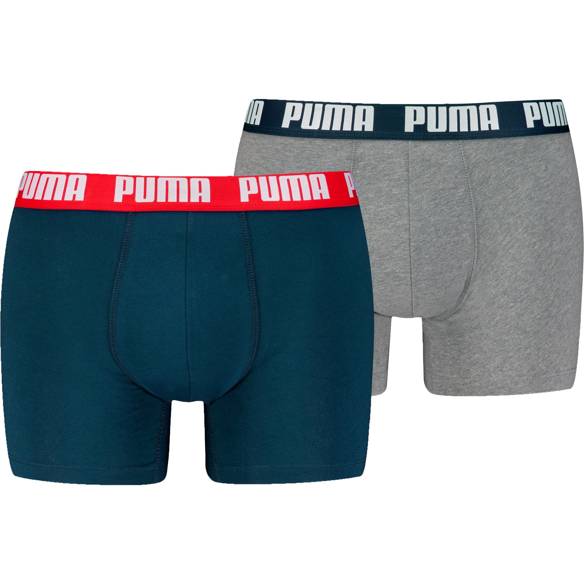Puma Pant  Navy / Grey