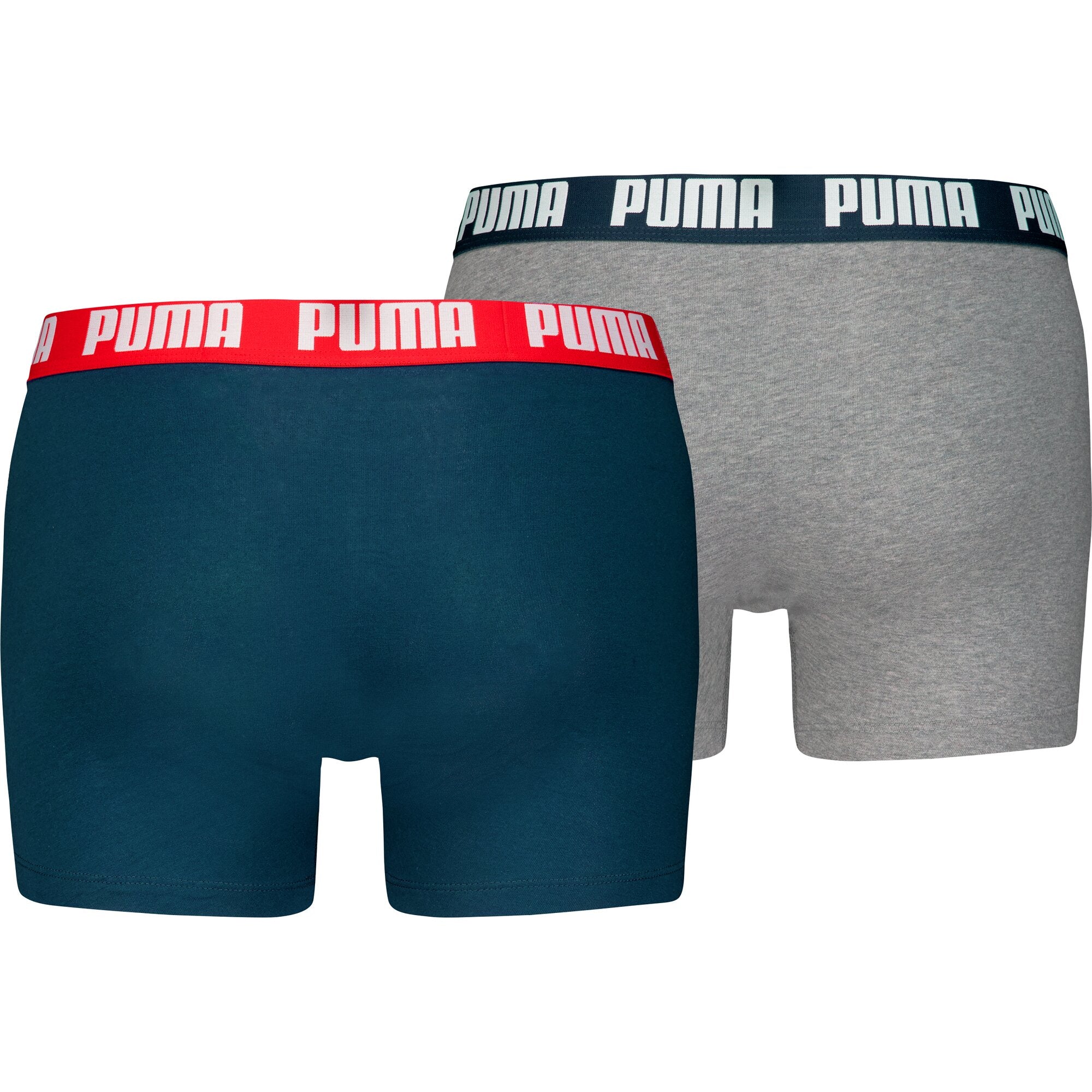 Puma Pant Navy / Grey