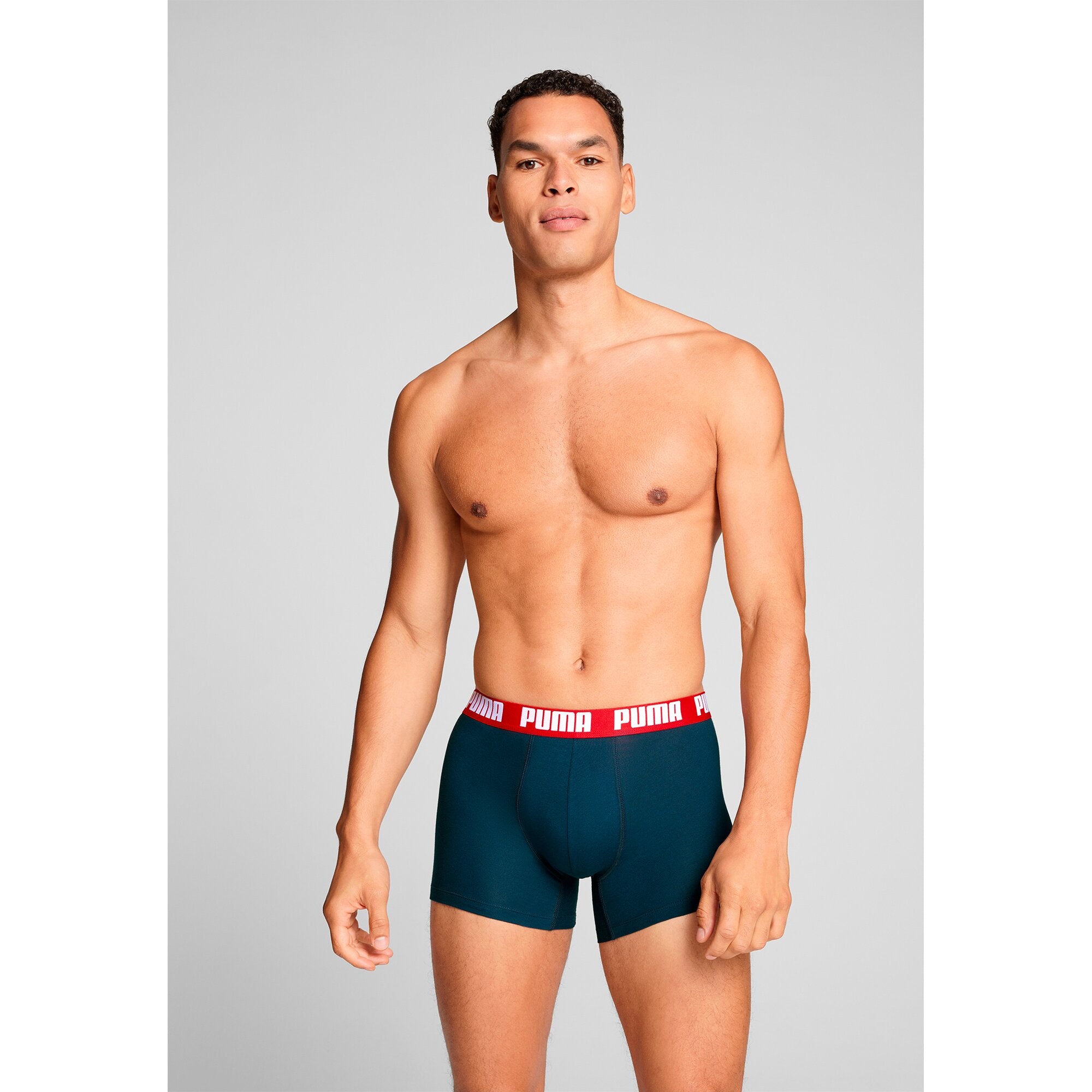 Puma Pant  Navy / Grey