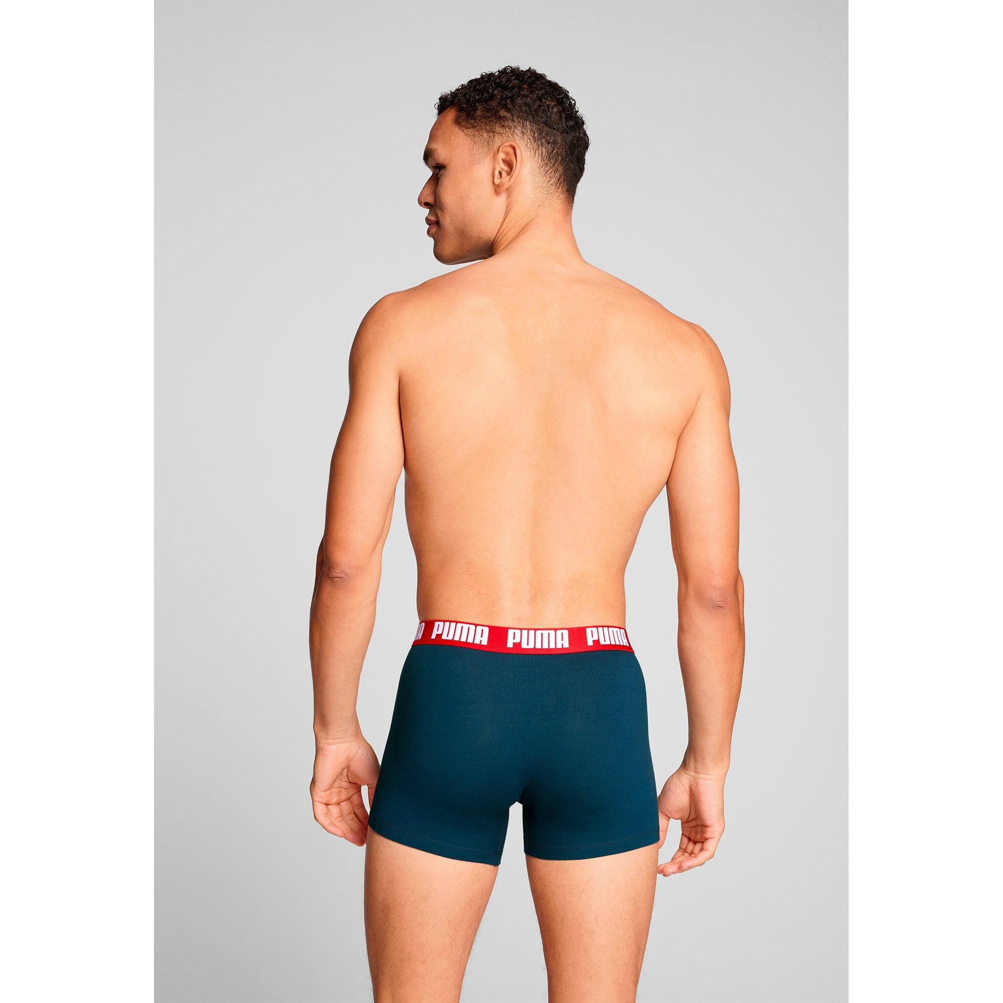 Puma Pant  Navy / Grey