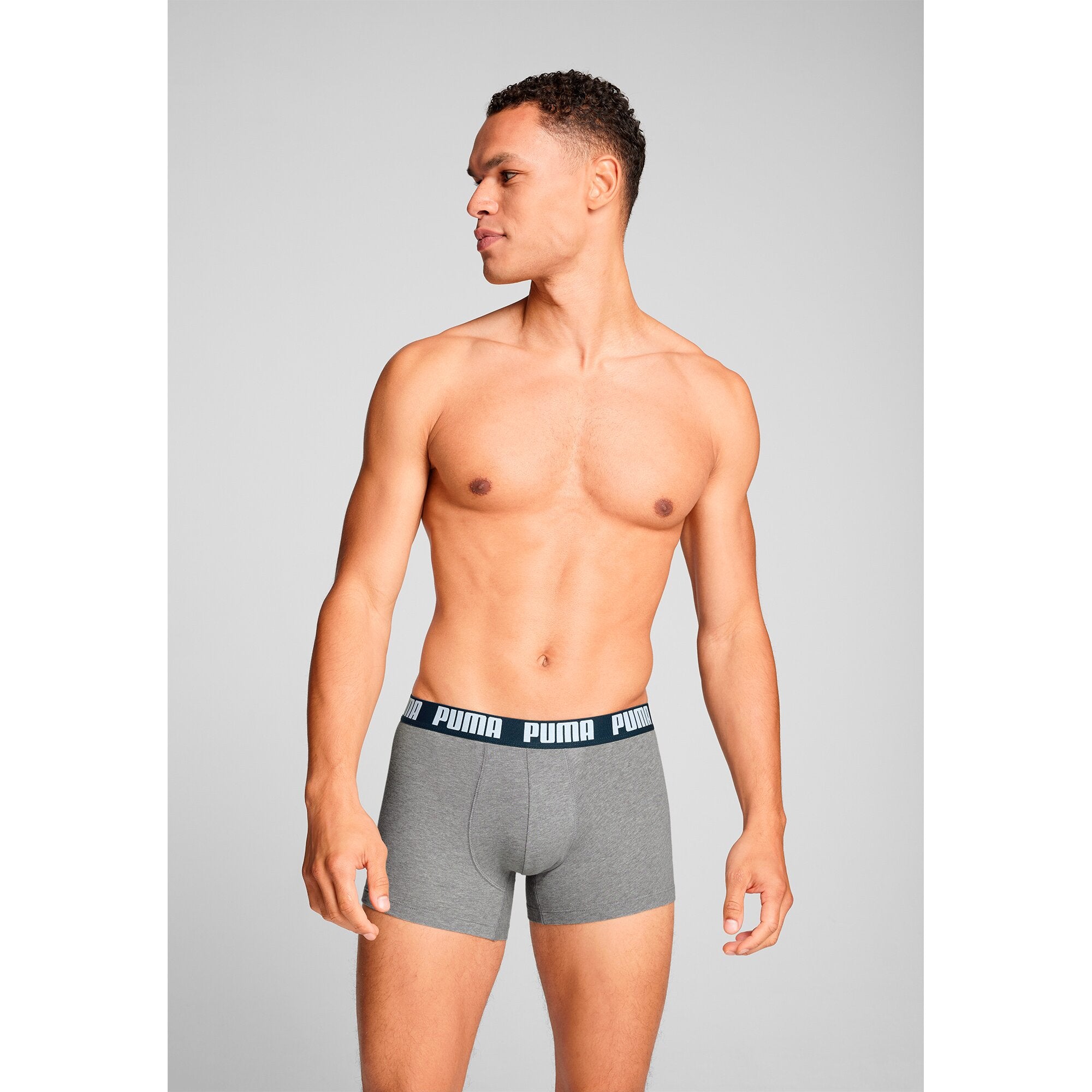 Puma Pant  Navy / Grey