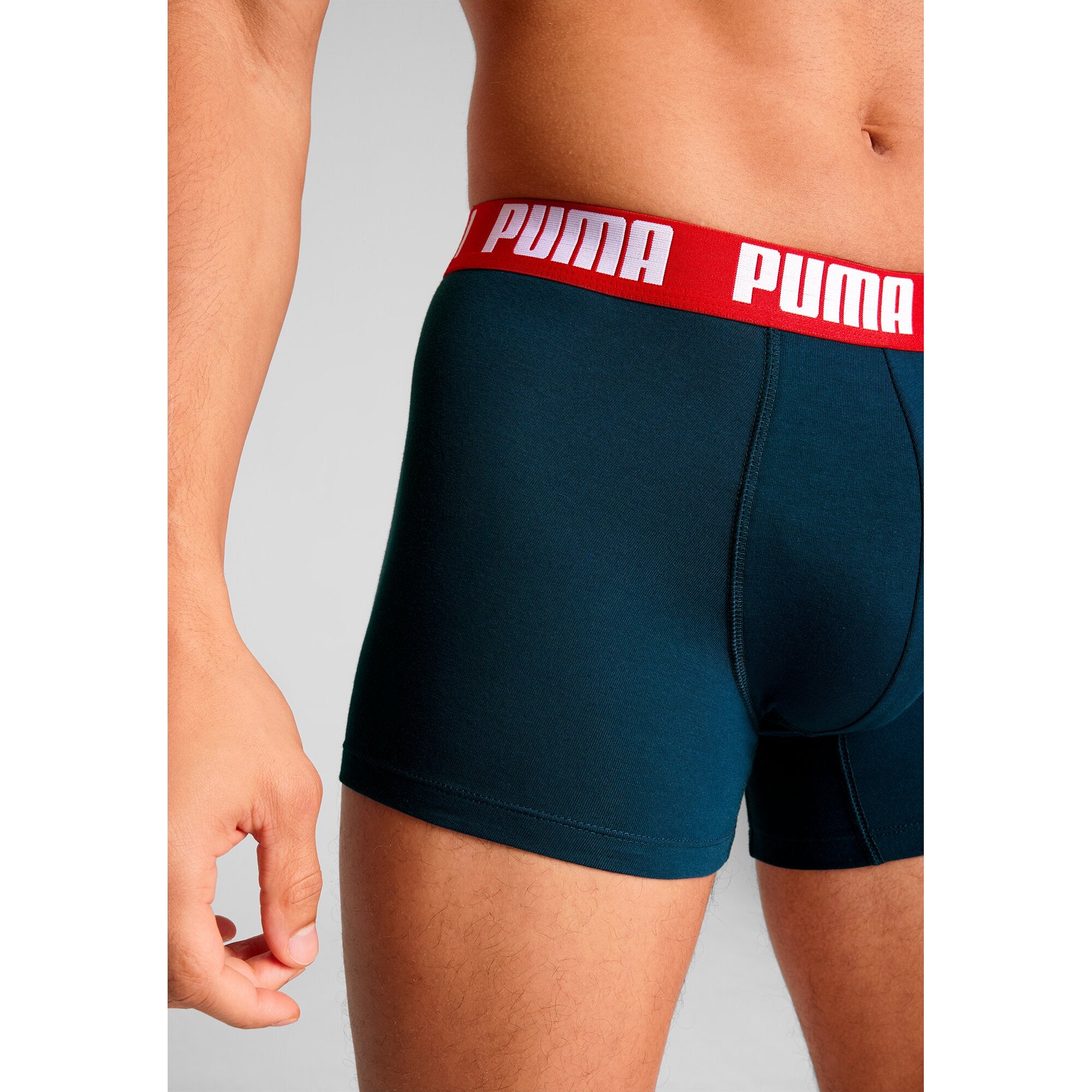 Puma Pant Navy / Grey