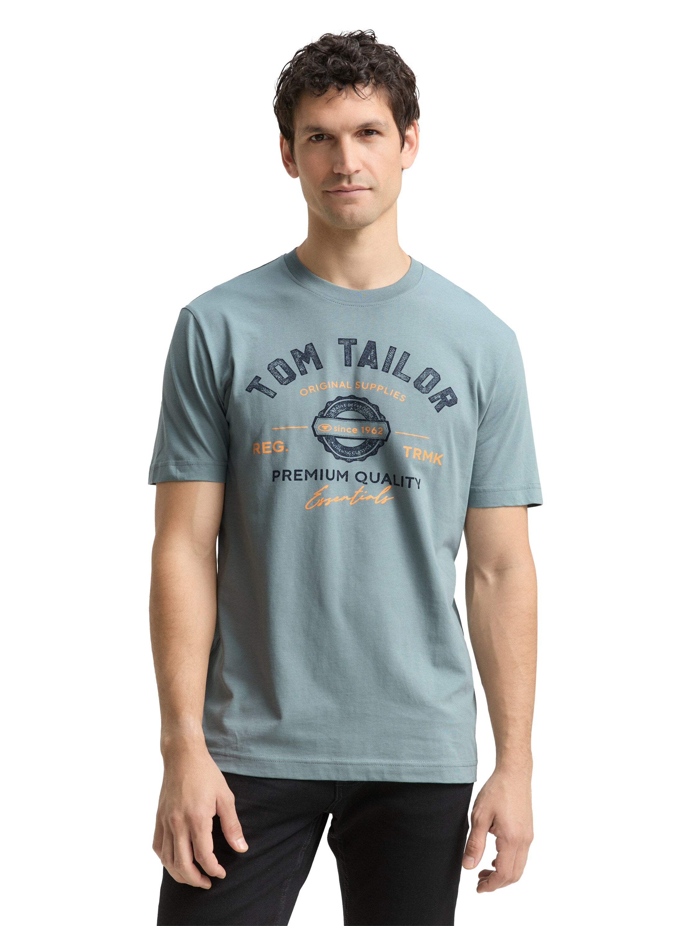 Tom Tailor Herren T-Shirts kurz Grey Mint