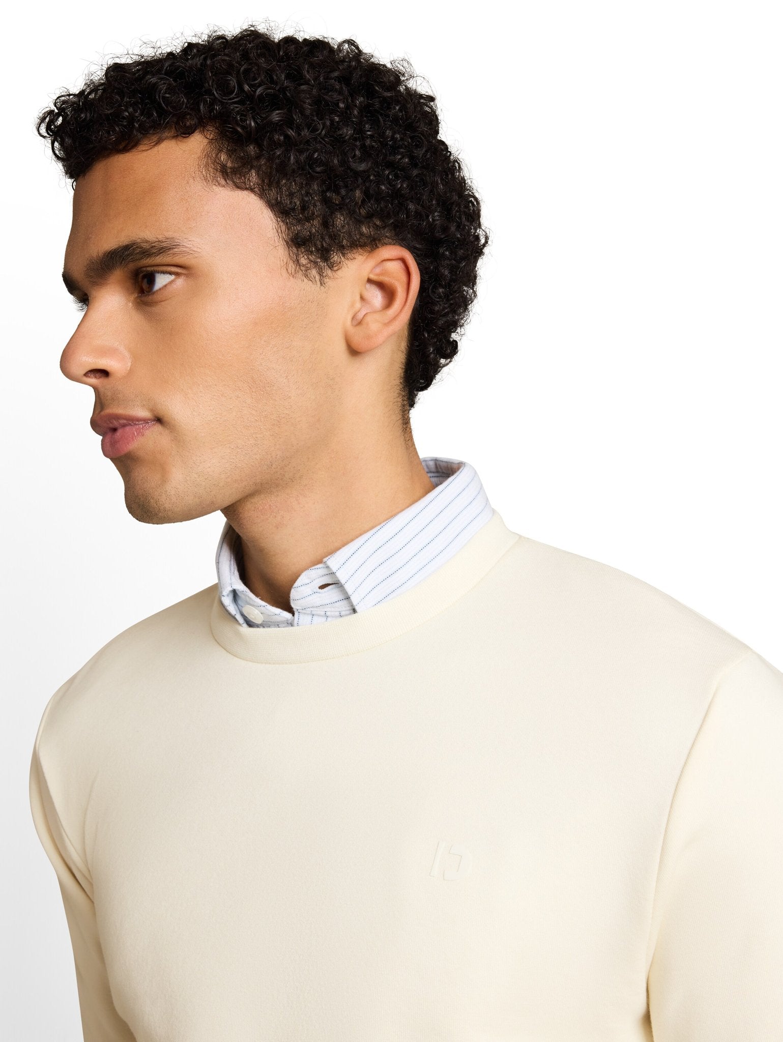 Tom Tailor denim Herren Sweatshirts Gardenia White