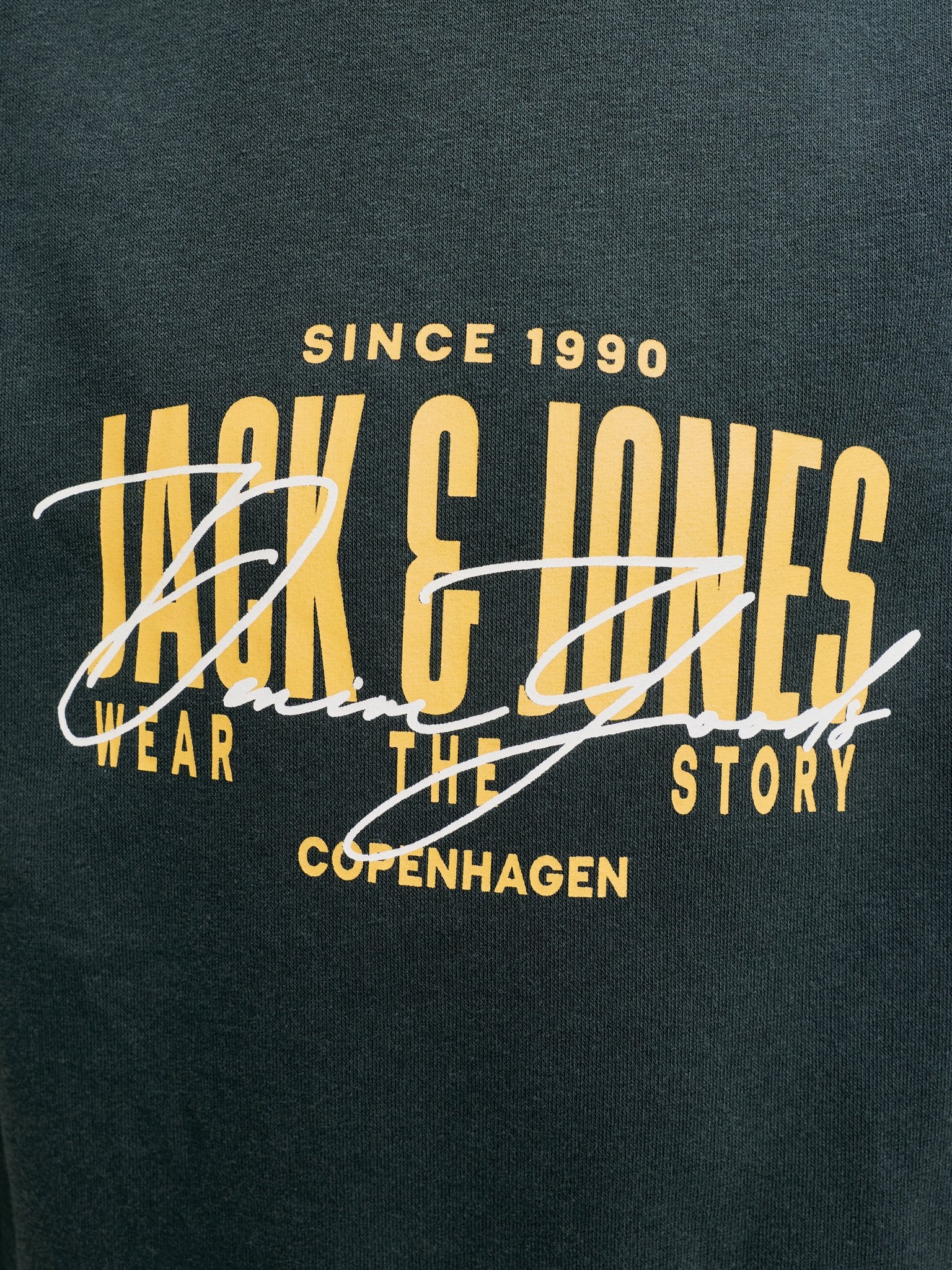 Jack & Jones Jungen Sweats & Sweatjacken Scarab/Big Prin