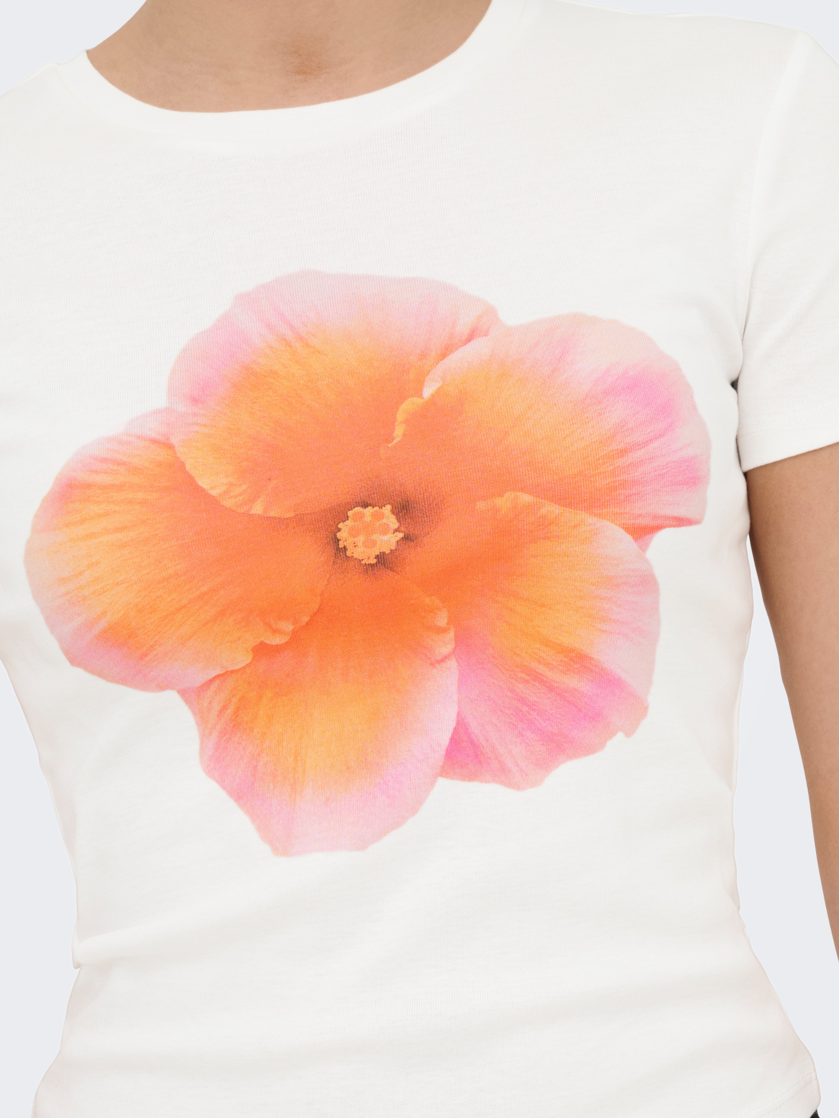 Only Damen T-Shirts Cloud Dancer/Pr