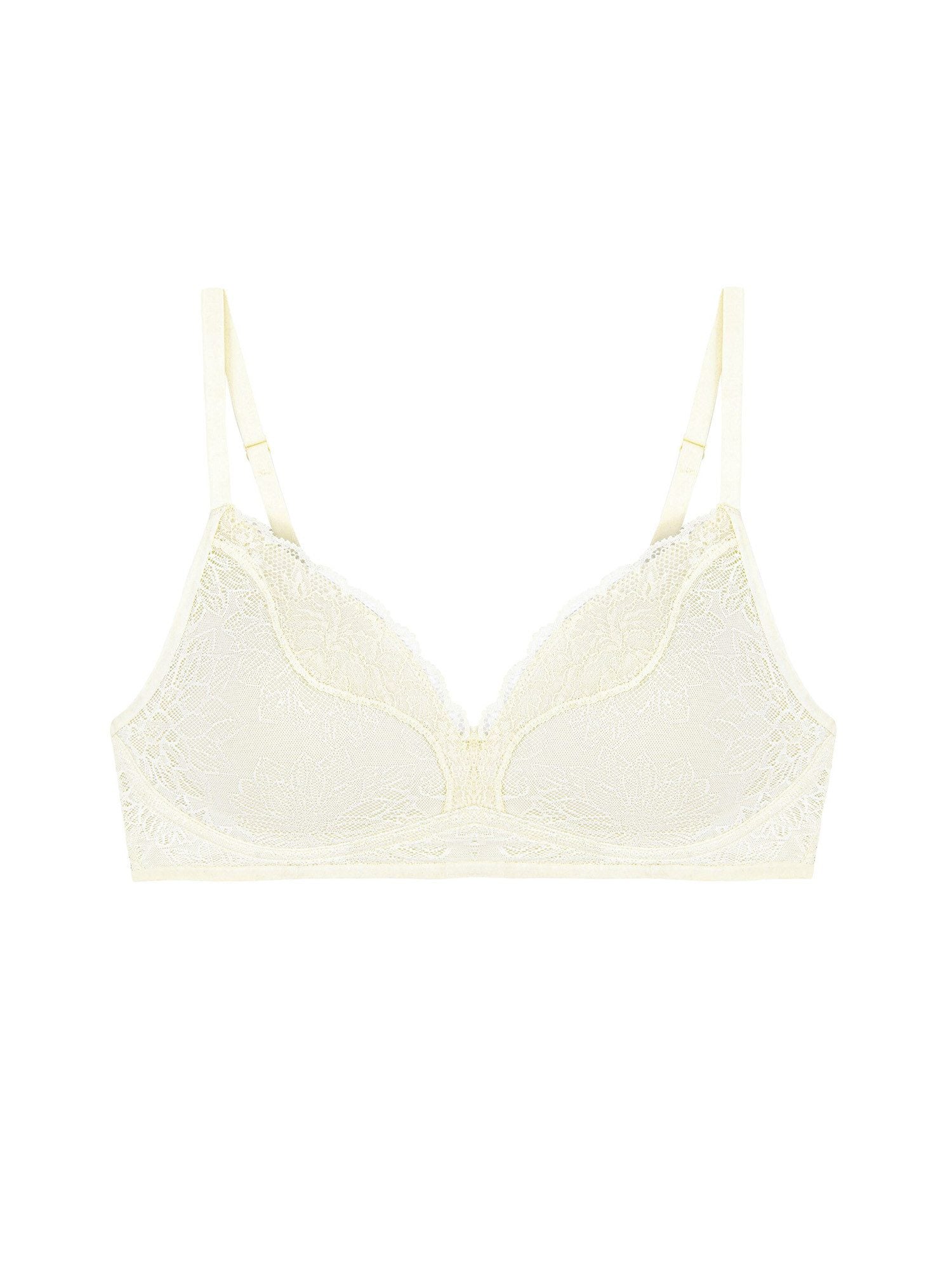 Triumph BH  Chrysanthe