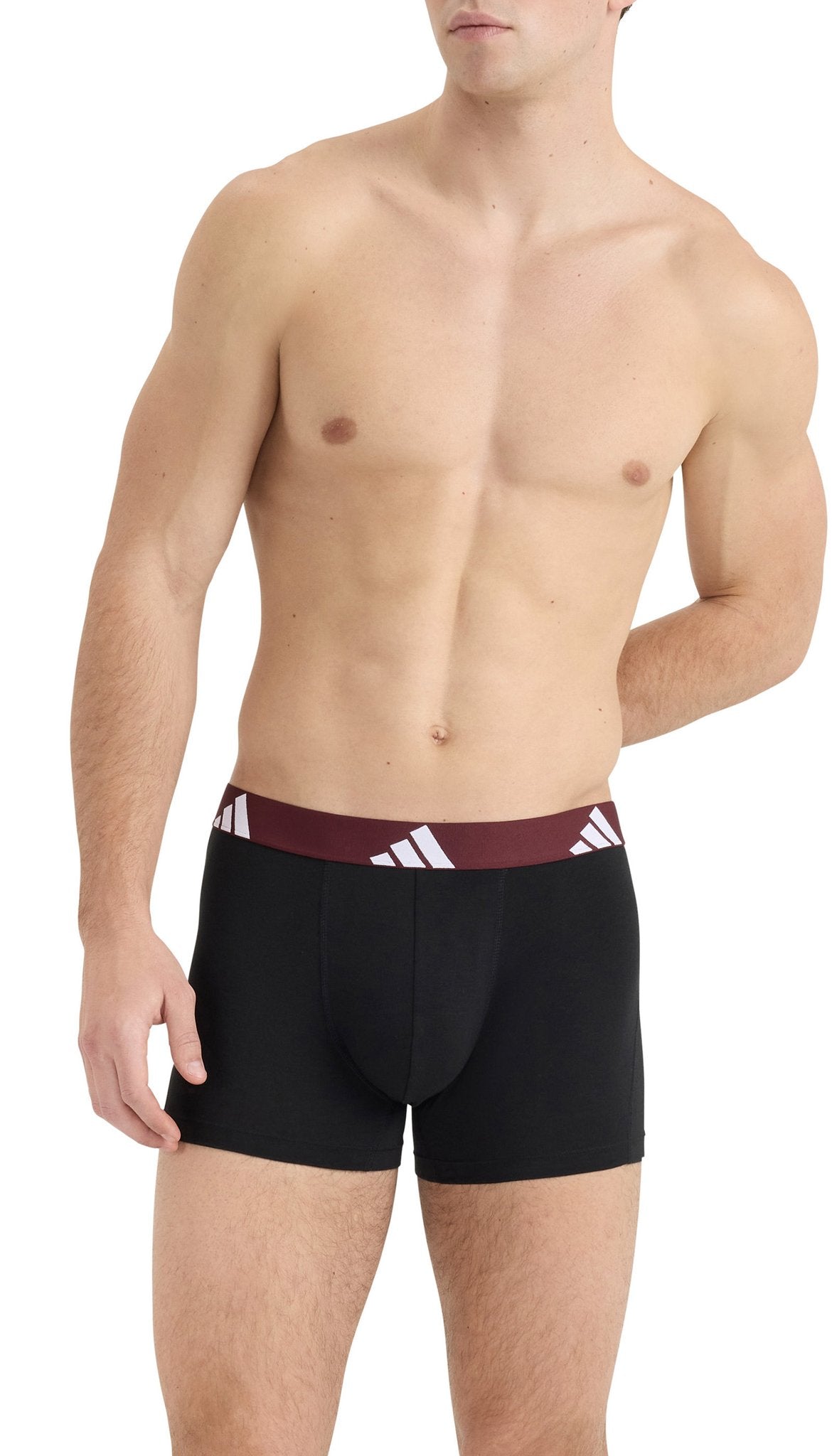 Adidas Pant Assorted