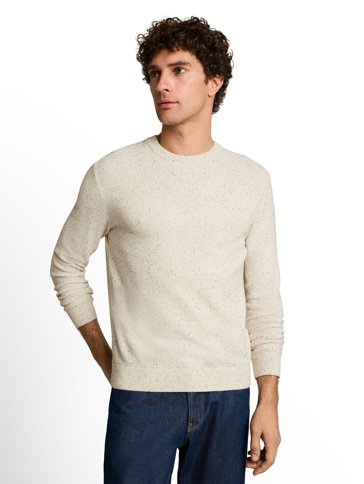 Tom Tailor denim Herren Pullover Off White Neps