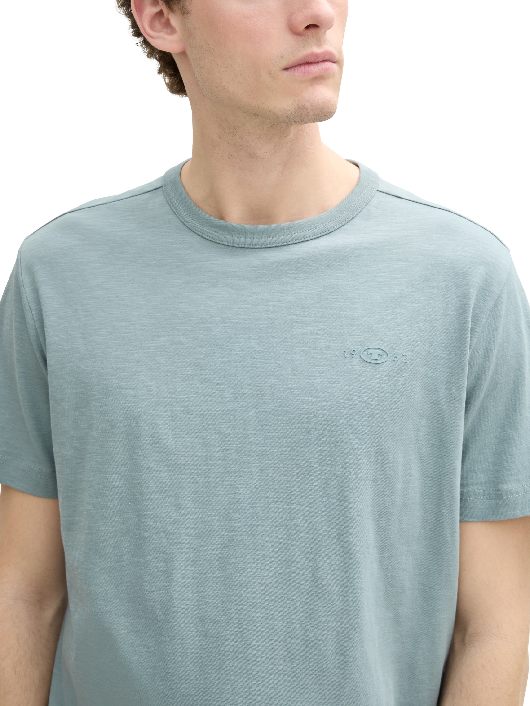 Tom Tailor Herren T-Shirts kurz Grey Mint