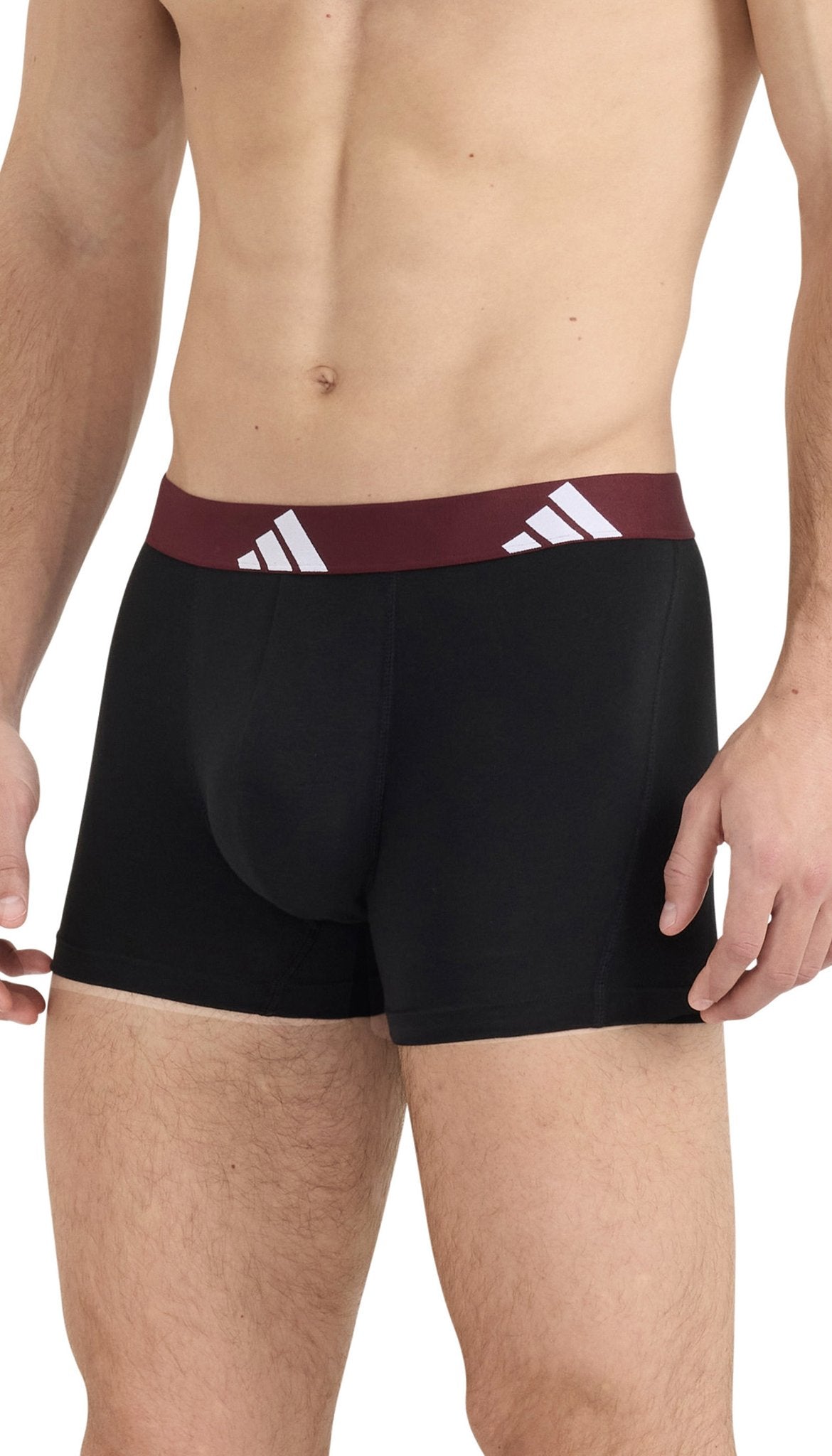 Adidas Pant  Assorted