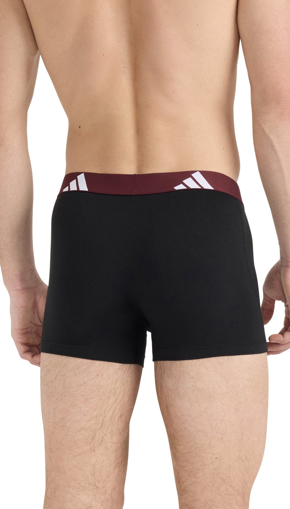 Adidas Pant  Assorted