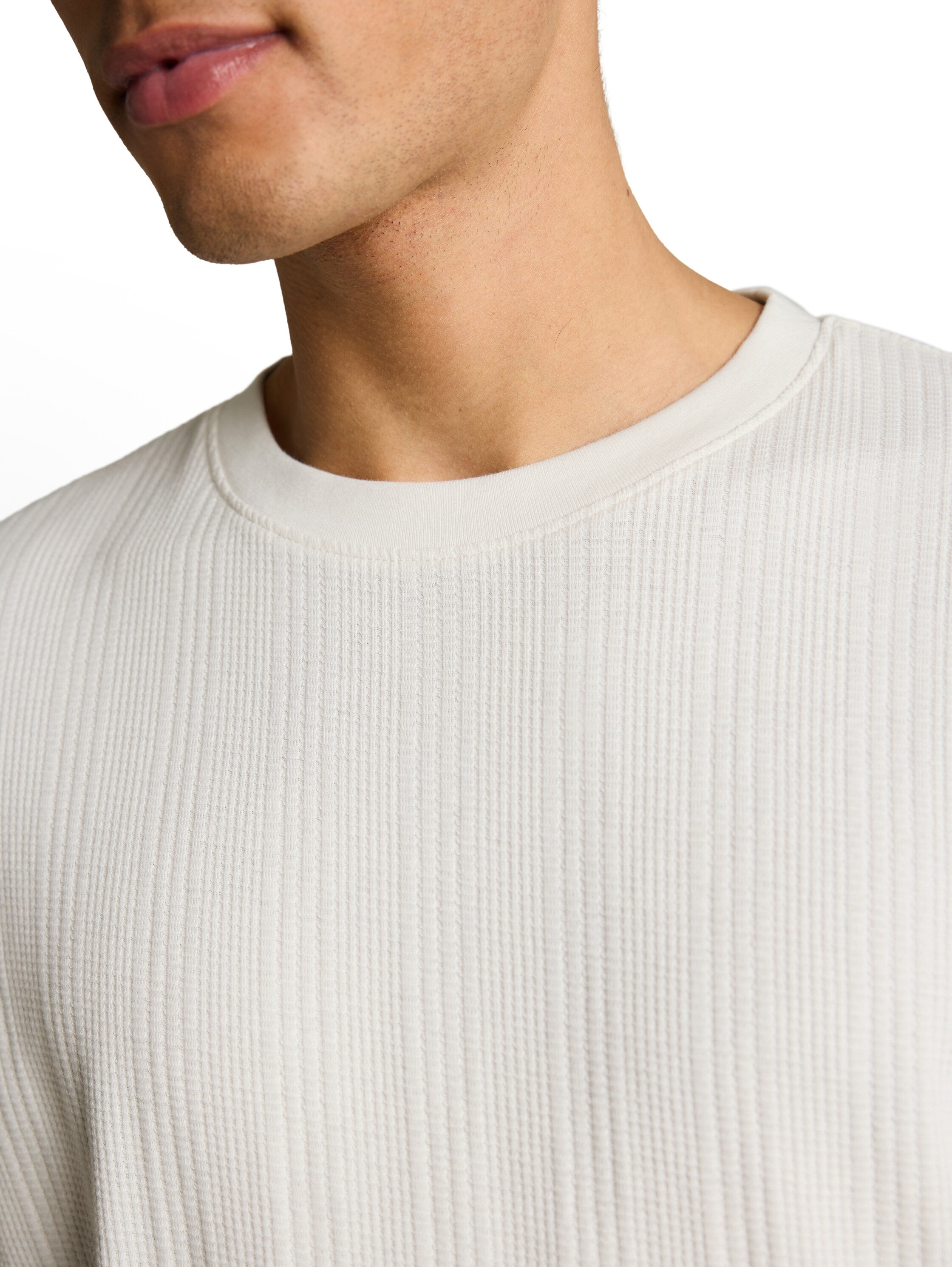 Tom Tailor denim Herren T-Shirts kurz Wool White